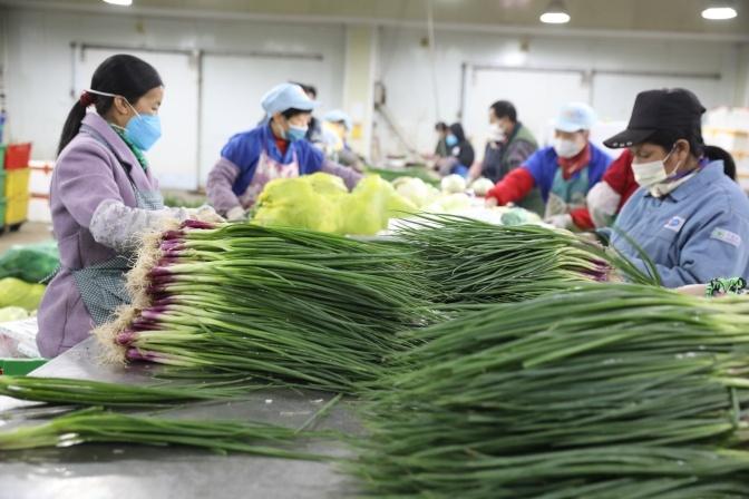 南沙兼职最新动态，最新论述与资讯汇总