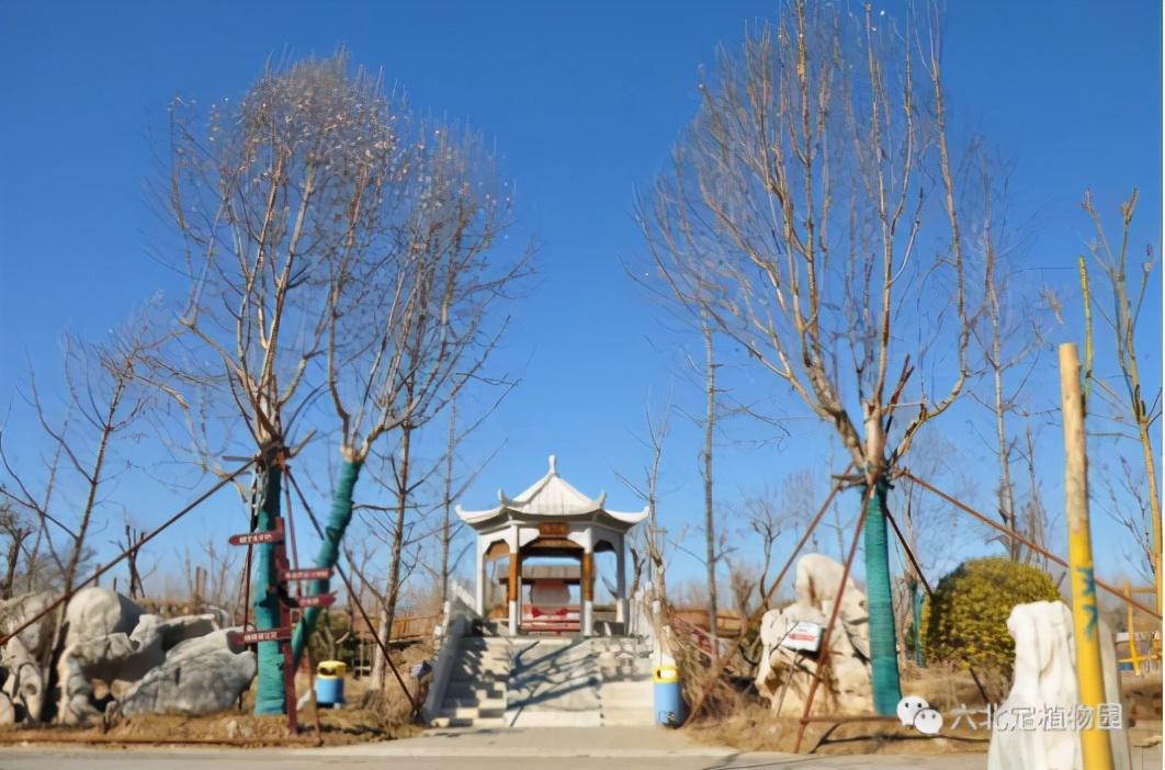 三河李旗庄招聘启事，开启你人生新篇章的职场号角