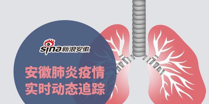 安徽疫情最新动态，共同守护家园的加油站🌸📢