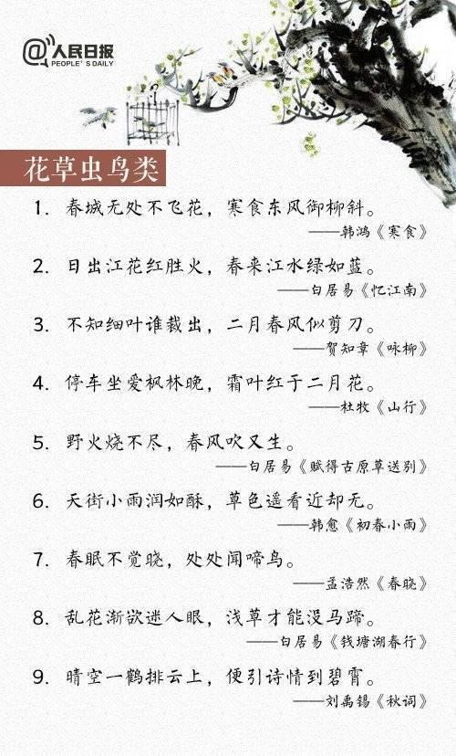 最新网络诗句，巷弄深处的诗意小店风采